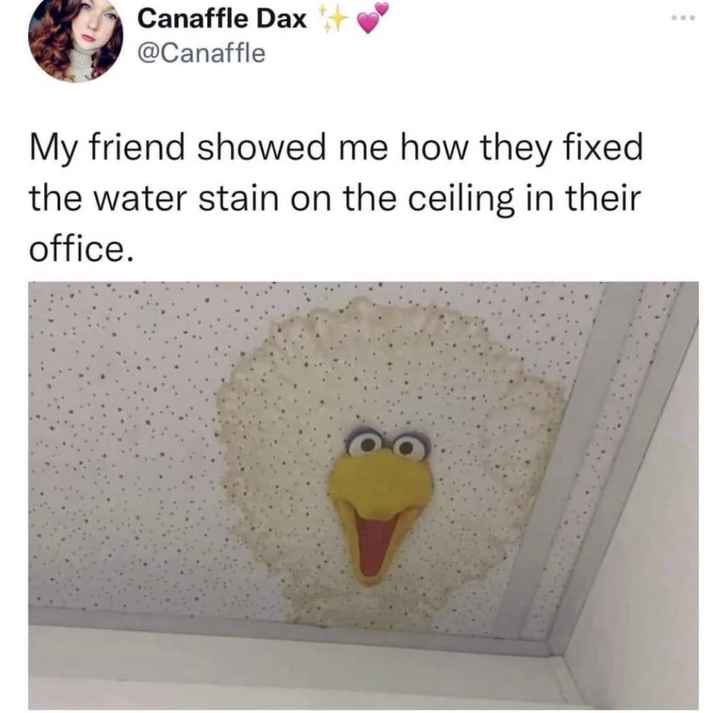 my friend showed me how they fixed - Canaffle Dax My friend showed me how they fixed the water stain on the ceiling in their office.